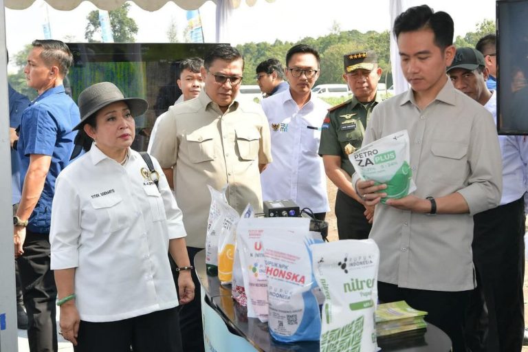 Gibran Ditugaskan Prabowo Tangani Papua: Fokus Pembangunan dan Isu HAM