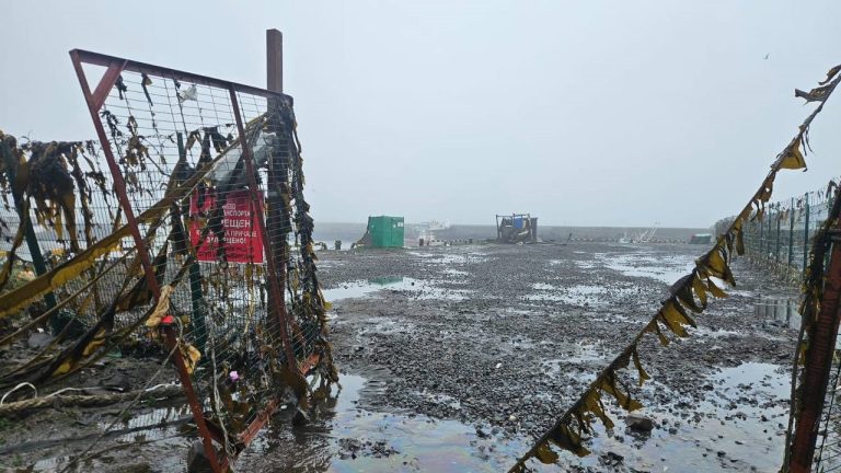 Gempa Dahsyat M 8,7 Rusia Picu Tsunami, Indonesia dan Negara Pasifik Siaga