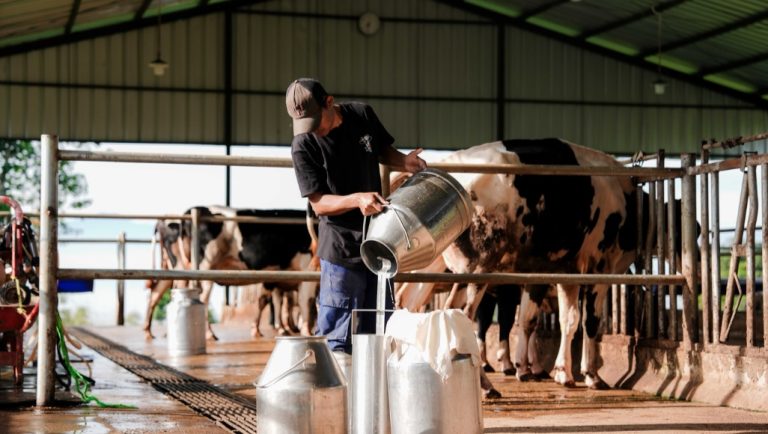 Cak Imin Dorong Program MBG Gunakan Produk Lokal dan Libatkan UMKM