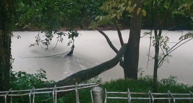 Kebakaran Gudang Pestisida di Tangsel Cemari Sungai Jalatreng hingga Cisadane